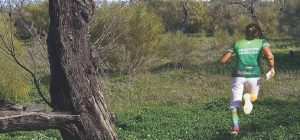 La UCA impulsa la participación universitaria en el IV Circuito de Orientación Diputación de Cádi...