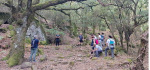 Celebrado el VI SenderUCA por el Parque Natural de los Alcornocales